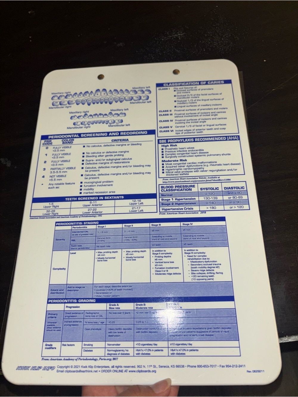 Dental Periodontal Screening Chart - Blue and White